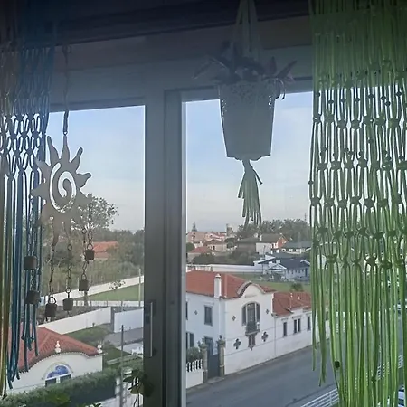 Mar - V N Gaia אגודה