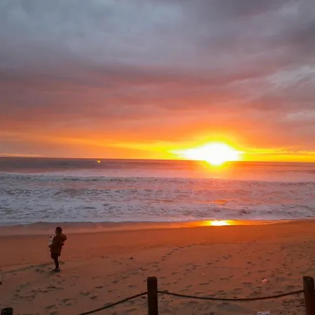 Mar - V N Gaia * אגודה