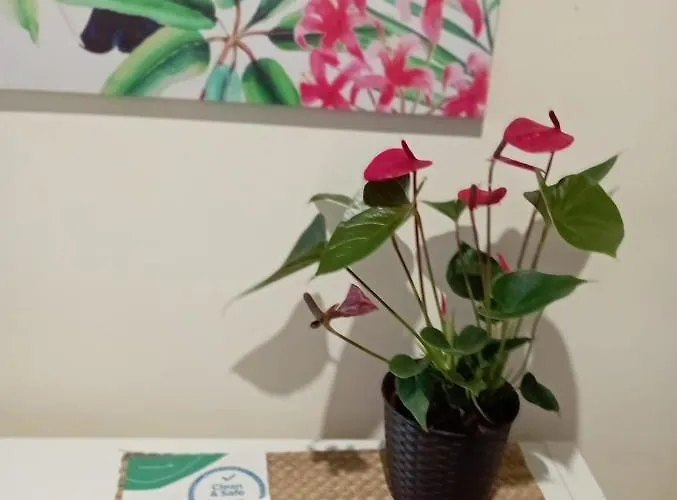 Mar - V N Gaia Homestay *