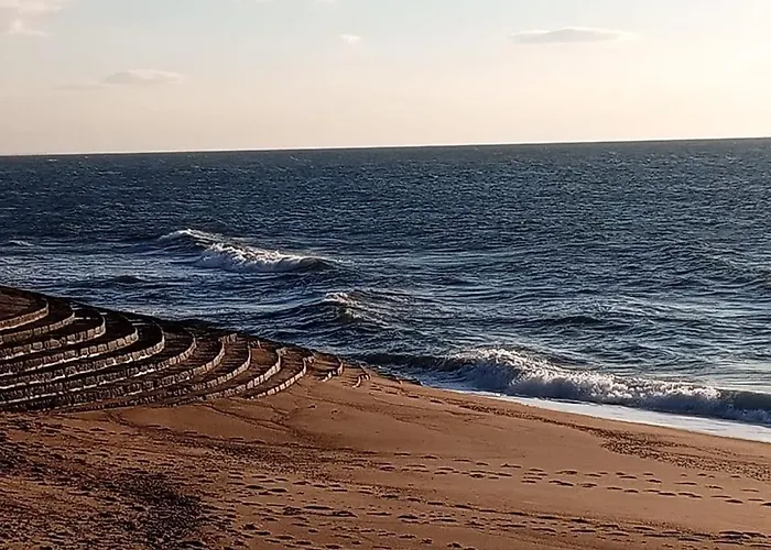 Mar - V N Gaia Homestay